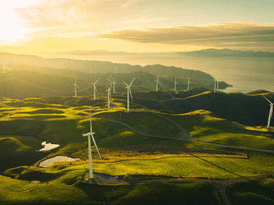 Wind turbines on a green landscape