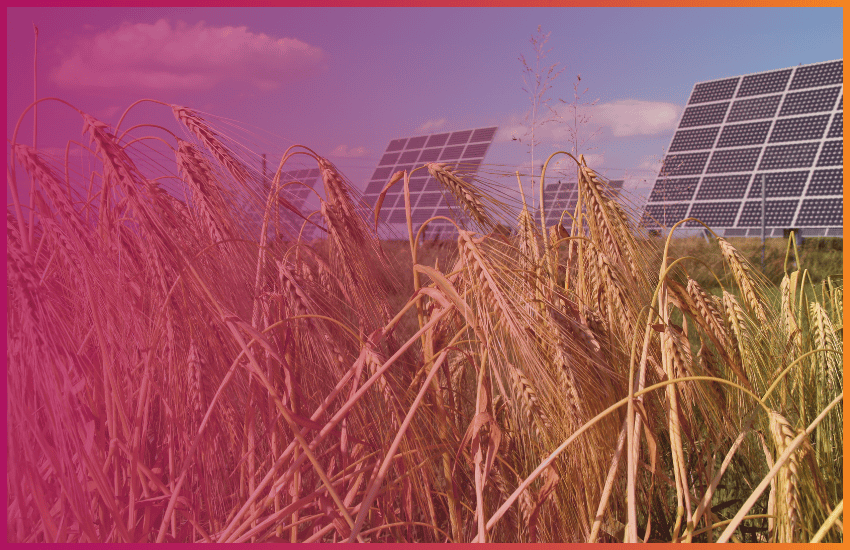 Bio Energy