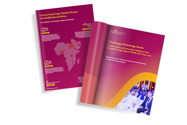 Navigating Renewable Energy Challenges