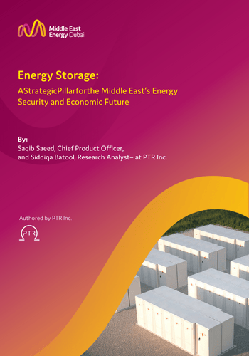 Energy Storage Report